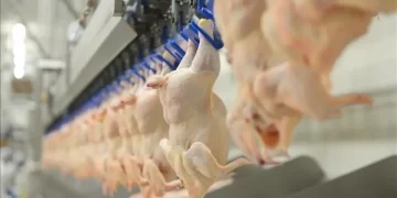 Beyaz et sektörüne soruşturma: 13 şirkete ‘denetim kayyımı’ atandı