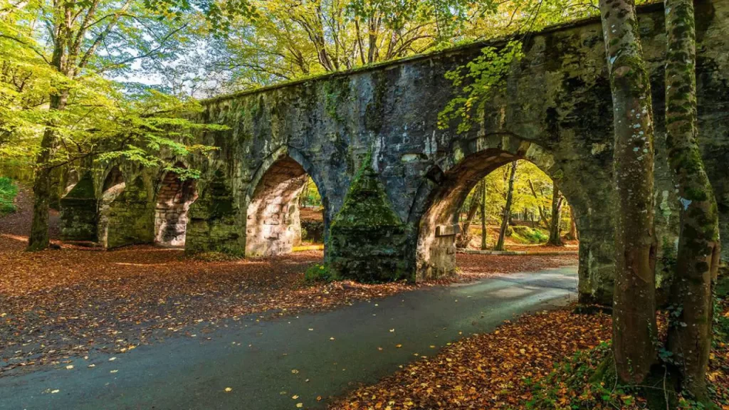İstanbul'da ormanlara giriş yasaklandı istanbul orman habermeydan
