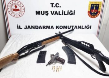 Muş Varto’da, silah ve muhimmat operasyonu!