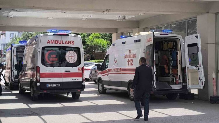 musta arazi yuzunden cikan kavga olumle bitti habermeydan