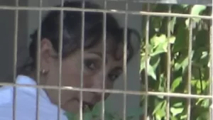 Özlem Tekin yıllar sonra Bodrum'da görüntülendi ozlem Tekin yillar sonra Bodrum goruntulendi1 habermeydan