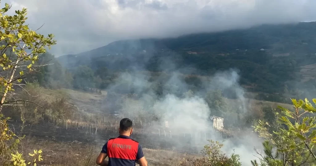 sinop turkelide otluk alanda cikan ortu yangini korkuttu habermeydan