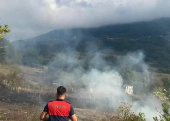Sinop Türkeli'de, otluk alanda çıkan örtü yangını korkuttu! Sinop Türkeli’de, otluk alanda çıkan örtü yangını korkuttu!