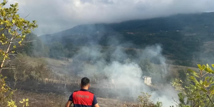 Sinop Türkeli’de, otluk alanda çıkan örtü yangını korkuttu!
