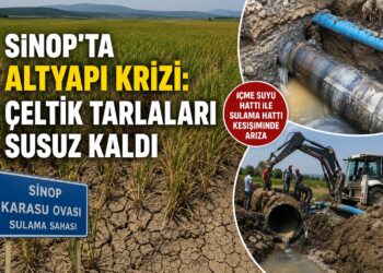 Sinop’ta Altyapı Krizi: Çeltik Tarlaları Susuz Kaldı