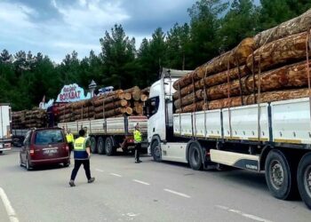 Sinop’ta, Orman Sevkiyatlarına Sıkı Denetim!