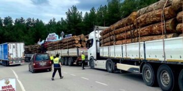 Sinop’ta, Orman Sevkiyatlarına Sıkı Denetim!