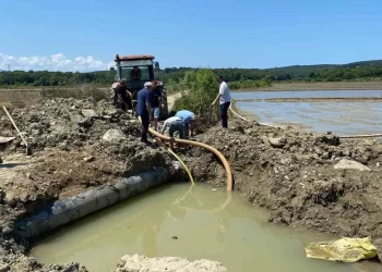 Sinop'ta, sulama hattı patladı, çeltik üreticisi isyan etti! Sinop’ta, sulama hattı patladı, çeltik üreticisi isyan etti!