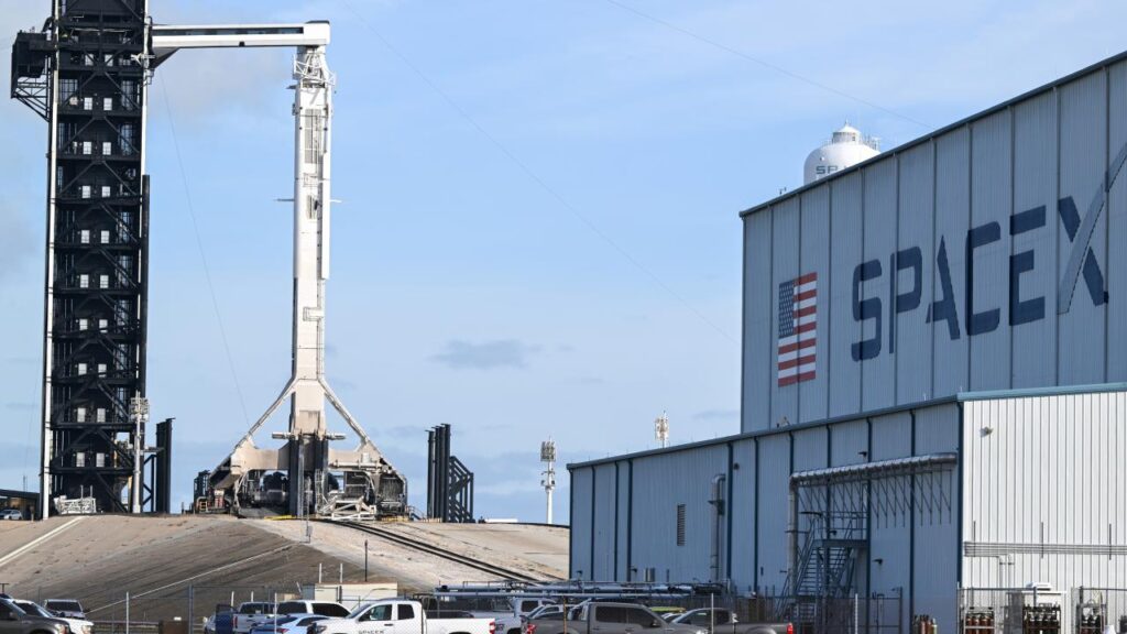 spacex habermeydan
