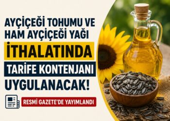 Ayçiçeği ithalatında yeni dönem! Tarife kontenjanı uygulanacak Ayçiçeği ithalatında yeni dönem! Tarife kontenjanı uygulanacak