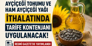 Ayçiçeği ithalatında yeni dönem! Tarife kontenjanı uygulanacak Ayçiçeği ithalatında yeni dönem! Tarife kontenjanı uygulanacak