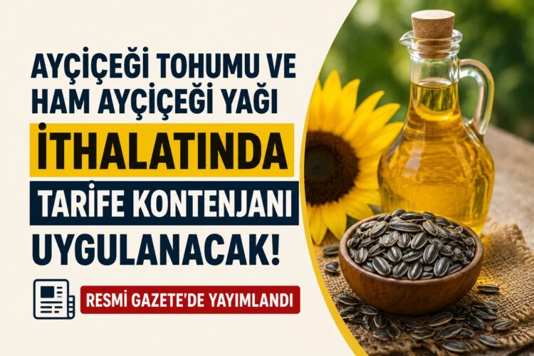 Ayçiçeği ithalatında yeni dönem! Tarife kontenjanı uygulanacak Aycicegi ithalati habermeydan