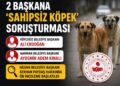 Sahipsiz köpek saldırıları sonrası iki belediye başkanı hakkında soruşturma izni Sahipsiz köpek saldırıları sonrası iki belediye başkanı hakkında soruşturma izni