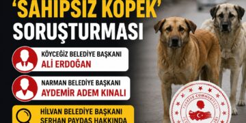 Sahipsiz köpek saldırıları sonrası iki belediye başkanı hakkında soruşturma izni Sahipsiz köpek saldırıları sonrası iki belediye başkanı hakkında soruşturma izni