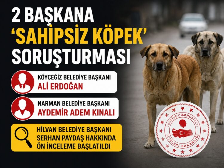 Sahipsiz köpek saldırıları sonrası iki belediye başkanı hakkında soruşturma izni Sahipsiz kopek saldirilari habermeydan