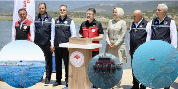 Su ürünleri ihracatında tarihi başarı! Türkiye 2025'te 2,3 milyar dolara ulaştı Su ürünleri ihracatında tarihi başarı! Türkiye 2025’te 2,3 milyar dolara ulaştı