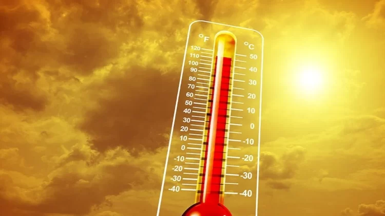 Dünya Meteoroloji Örgütü'nden El Nino uyarısı Dünya Meteoroloji Örgütü'nden El Nino uyarısı...