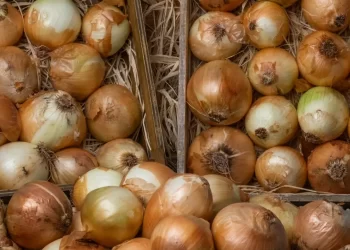 Ticaret Bakanlığı'ndan kuru soğan fiyatlarına ilişkin açıklama Ticaret Bakanlığı’ndan kuru soğan fiyatlarına ilişkin açıklama