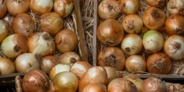 Ticaret Bakanlığı'ndan kuru soğan fiyatlarına ilişkin açıklama Ticaret Bakanlığı’ndan kuru soğan fiyatlarına ilişkin açıklama