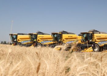 Muş'ta Hububat Hasadı Başladı: Hedef 11 Milyar TL Muş’ta Hububat Hasadı Başladı: Hedef 11 Milyar TL