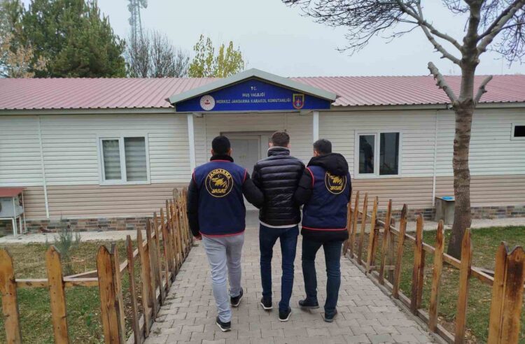 Muş'ta, Siber Dolandırıcılık Hükümlüsü Jandarmaya Yakalandı! musta siber dolandiricilik hukumlusu jandarmaya yakalandi habermeydan e1783439084598