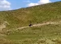 Muş'ta traktör kazası: Baba-oğul yaralandı Muş’ta traktör kazası: Baba-oğul yaralandı