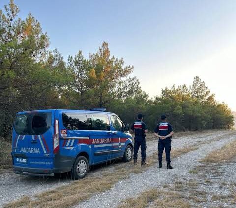 sinop erfelekte jandarmadan ormanlara 7 24 gozetim habermeydan e1784563717919