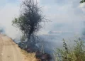 Sinop Saraydüzü'nde, Korkutan Anız Yangını! Sinop Saraydüzü’nde, Korkutan Anız Yangını!