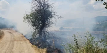 Sinop Saraydüzü'nde, Korkutan Anız Yangını! Sinop Saraydüzü’nde, Korkutan Anız Yangını!