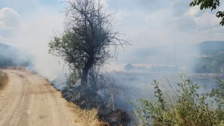 Sinop Saraydüzü'nde, Korkutan Anız Yangını! sinop sarayduzunde korkutan aniz yangini habermeydan