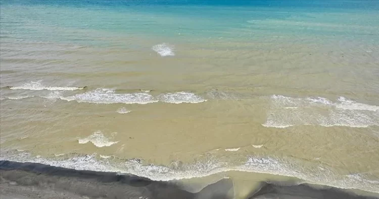 sinop turkelide saganak sahili camurla kapladi habermeydan
