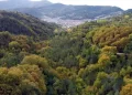 Sinop, Türkiye’nin En Yeşil 5 İlinden Biri Oldu! Sinop, Türkiye’nin En Yeşil 5 İlinden Biri Oldu!