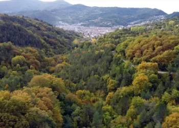 Sinop, Türkiye’nin En Yeşil 5 İlinden Biri Oldu! Sinop, Türkiye’nin En Yeşil 5 İlinden Biri Oldu!
