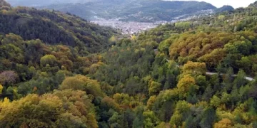 Sinop, Türkiye’nin En Yeşil 5 İlinden Biri Oldu! Sinop, Türkiye’nin En Yeşil 5 İlinden Biri Oldu!