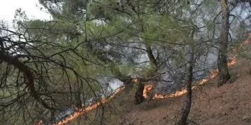 Sinop Valiliği’nden, Durağan ve Boyabat İçin Yangın Riski Alarmı!