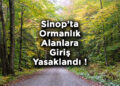 Sinop'ta, Ormanları Korumak İçin Yeni Kararlar Yürürlüğe Girdi! Sinop’ta, Ormanları Korumak İçin Yeni Kararlar Yürürlüğe Girdi!