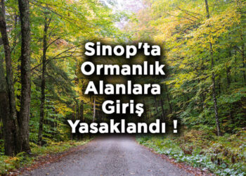 Sinop'ta, Ormanları Korumak İçin Yeni Kararlar Yürürlüğe Girdi! Sinop’ta, Ormanları Korumak İçin Yeni Kararlar Yürürlüğe Girdi!