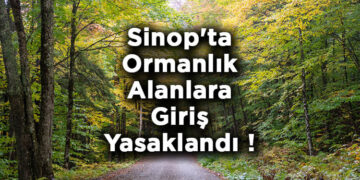 Sinop'ta, Ormanları Korumak İçin Yeni Kararlar Yürürlüğe Girdi! Sinop’ta, Ormanları Korumak İçin Yeni Kararlar Yürürlüğe Girdi!