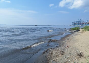 Ambarlı Arıtma Tesisi’nde kritik tespit: Arıtılmamış atık su Marmara’ya bırakıldı Ambarlı Arıtma Tesisi’nde kritik tespit: Arıtılmamış atık su Marmara’ya bırakıldı