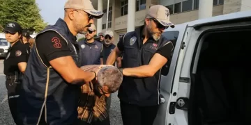 10 Yıldır Aranan FETÖ Firarisi Burkay Karatepe Tutuklandı: Suikast Davasında Yeni Gelişme