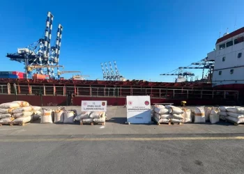 İstanbul Ambarlı Limanı'nda Dev Uyuşturucu Operasyonu: 3 Ton Pregabalin Ele Geçirildi İstanbul Ambarlı Limanı’nda Dev Uyuşturucu Operasyonu: 3 Ton Pregabalin Ele Geçirildi
