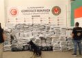 Kapıkule’de 810 kilo esrar ele geçirildi: TIR’daki gizli yük X-Ray taramasında ortaya çıktı Kapıkule’de 810 kilo esrar ele geçirildi: TIR’daki gizli yük X-Ray taramasında ortaya çıktı
