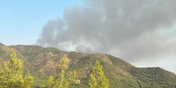 Marmaris’te alevlerle mücadele sürüyor: 7 uçak ve 16 helikopter bölgede