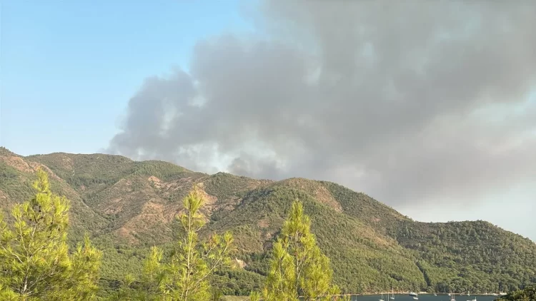 Marmaris’te alevlerle mücadele sürüyor: 7 uçak ve 16 helikopter bölgede Marmaris1 habermeydan