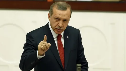 Cumhurbaşkanı Erdoğan'dan 'Terörsüz Türkiye' Talimatı: AK Parti Eylülde 81 İlde Sahaya Çıkıyor Terorsuz Turkiye2 habermeydan