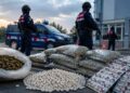 28 İlde Uyuşturucu Operasyonu: 104 Kilo Uyuşturucu Ve 294 Bin Hap Ele Geçirildi 28 İlde Uyuşturucu Operasyonu: 104 Kilo Uyuşturucu Ve 294 Bin Hap Ele Geçirildi