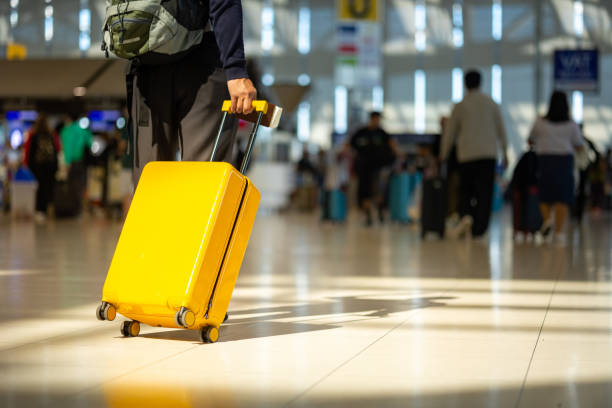 WestJet'te Grev Krizi! Binlerce Kabin Görevlisi İş Bıraktı, 600 Uçuş İptal Edildi WestJet habermeydan