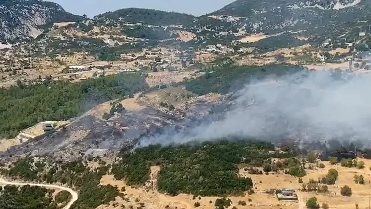 Antalya'da orman yangını paniği: Ekipler seferber oldu Antalya'da orman yangını paniği...