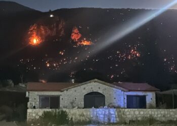 Seydikemer’den Kaş’a sıçrayan yangında büyük yıkım