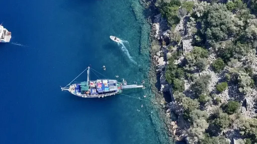 Mavi Vatan'da kritik karar: 3 bölgede ilan edildi mavi vatan habermeydan